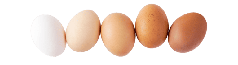 huevos lo que hay que saber