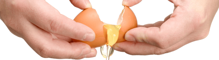 huevos saber manipulador alimentos
